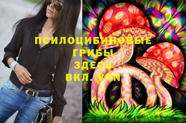 бошки Аркадак