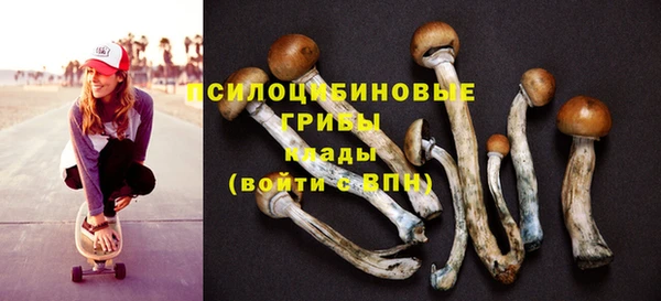 кокс Арсеньев